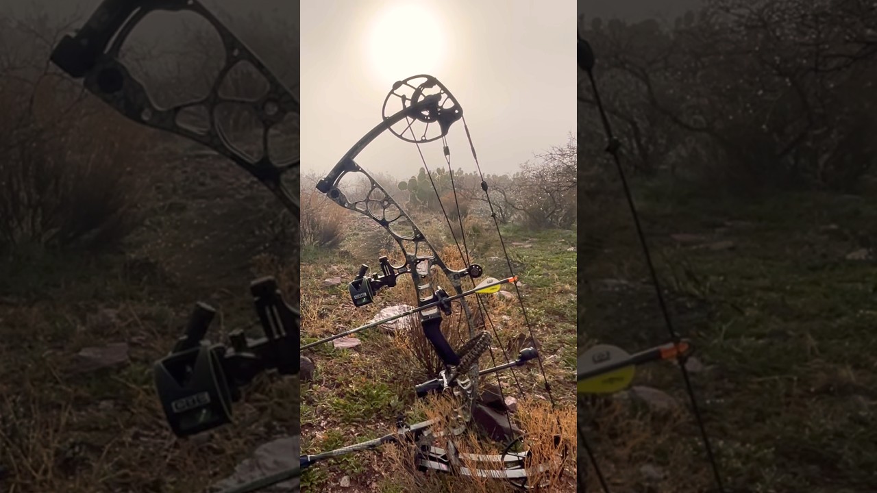 «Не хлебом единым жив человек»