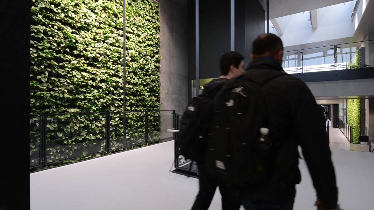 Natural Greenwalls NO