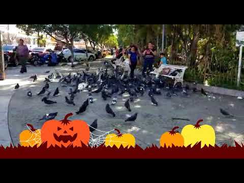 Parque de Usulutan y sus aves quédate viéndolas corazon aquino