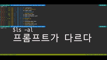 #LINUX -  우분투 터미널 프롬프트 꾸미기: oh-my-posh로 생산성 높이기