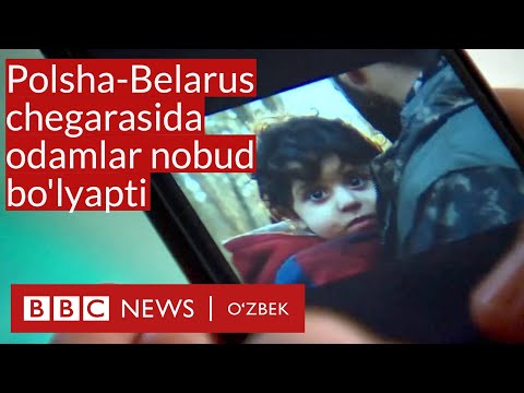 Бейне: «Өзбекстан» баклажандары