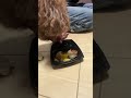 ケビン君ハッピーバースデー2！