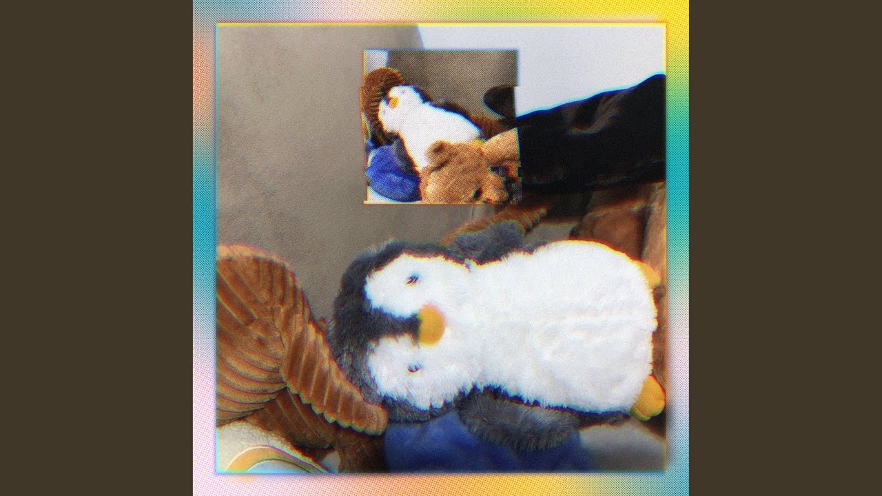 Watch finch on YouTube Watch finch on YouTube