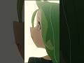 オリジナルアニメ『お姉ちゃんごっこ』第一話公開 #indie_anime #indieanimation