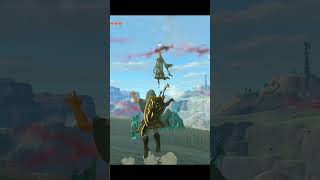 Glitch in Zelda Totk!