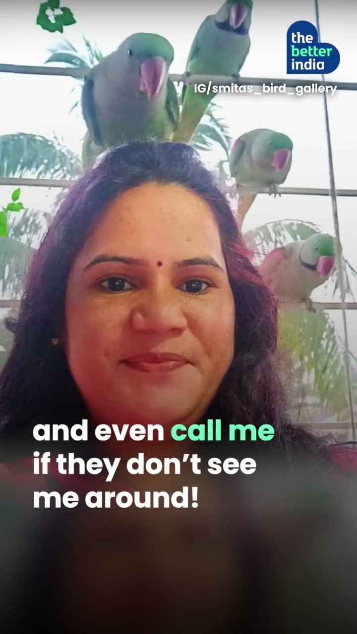 "These parrots are a part of my family.", says 'Bird Lady' Smita Pasalkar image