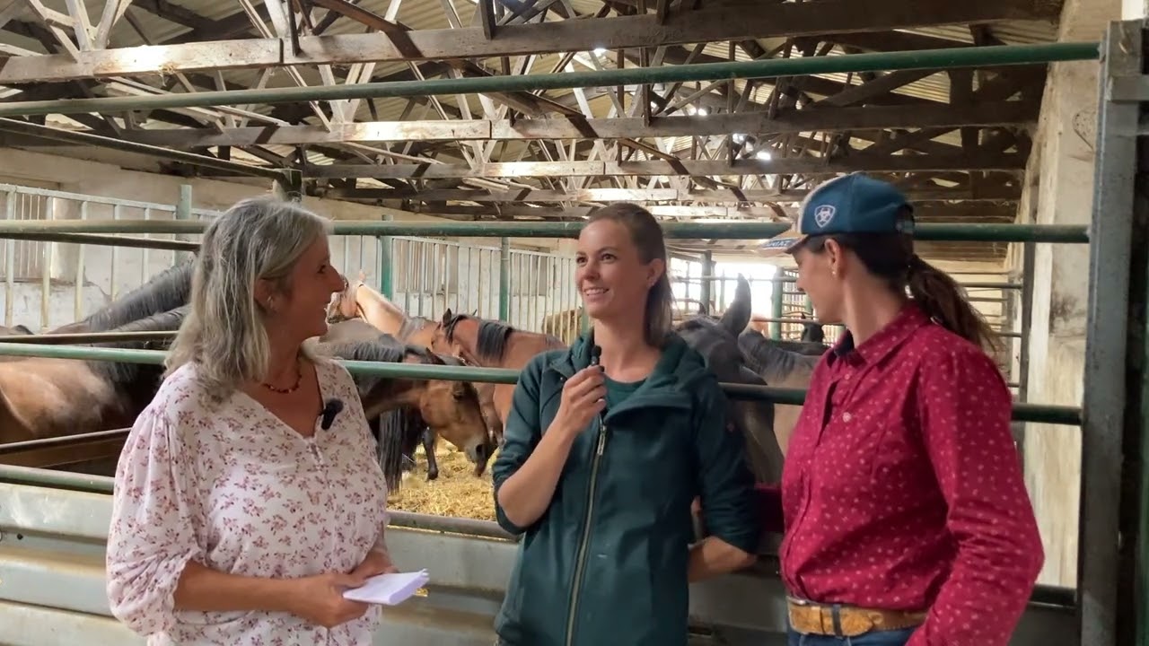 Vom Wildpferd zum Traumpferd - Besuch in der Thüringeti