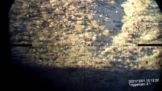 1000 Yards Using Acss Apollo Reticle Dial In