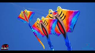Les natur'Ailes Narbonne 2019