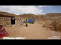 بلال قدیمی بختیاری بلال قدیمی بختیاری
