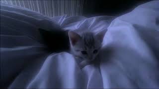 get cozy and fall asleep