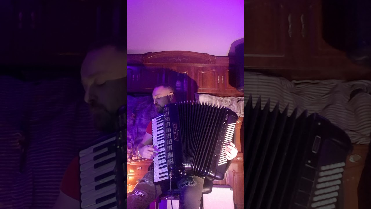 David  y su Acordeón