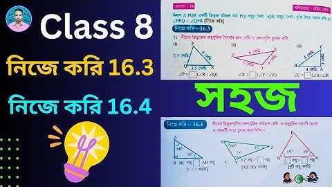 Class 8th Maths Nije Kori 16.3, 16.4 | অষ্টম শ্রেণীর গণিত নিজে করি 16.3, 16.4 | Class VIII Maths