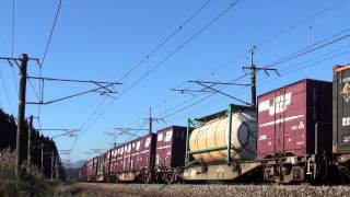 4095ﾚ　EF510 508奥　4076ﾚEF510 507手前