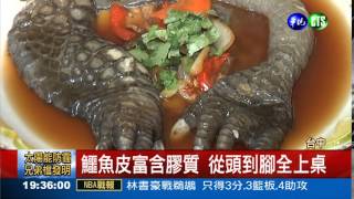 鱷魚全餐! 燉頭湯等你挑戰 