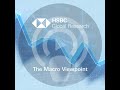 The Macro Viewpoint - Fed and ECB rate hikes, the digital USD