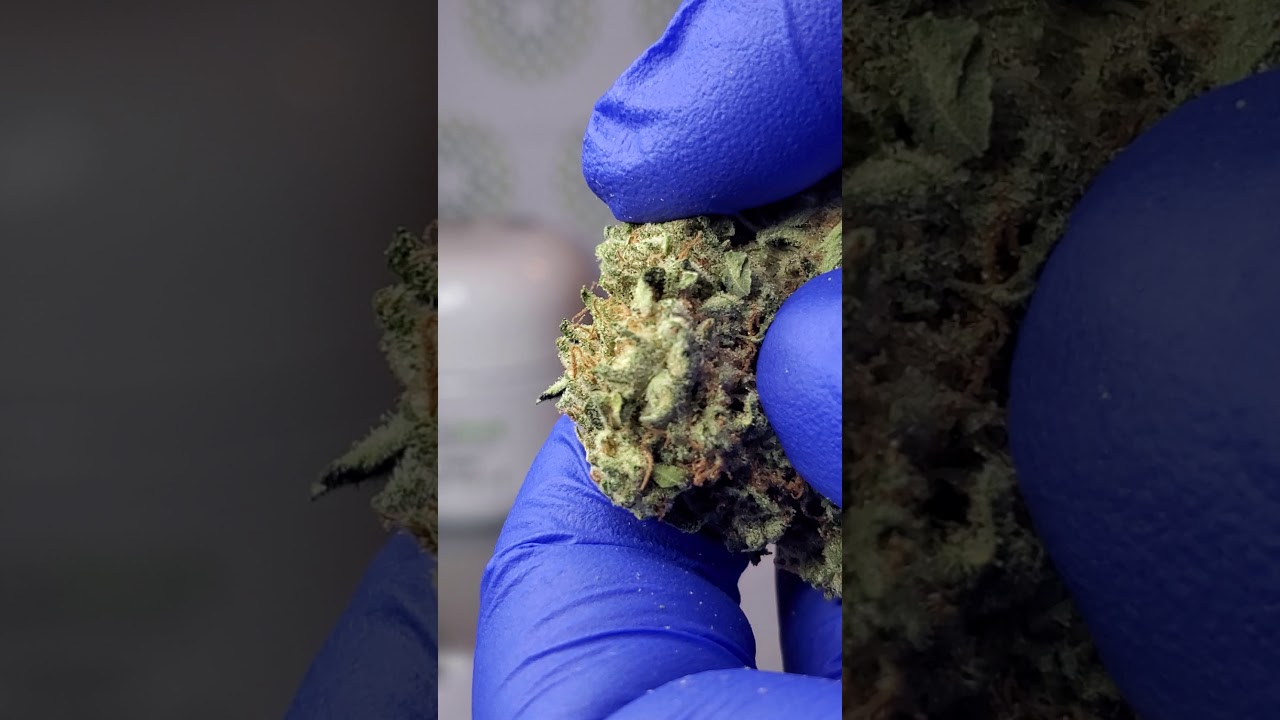 sour og chem  trulieve dispensary