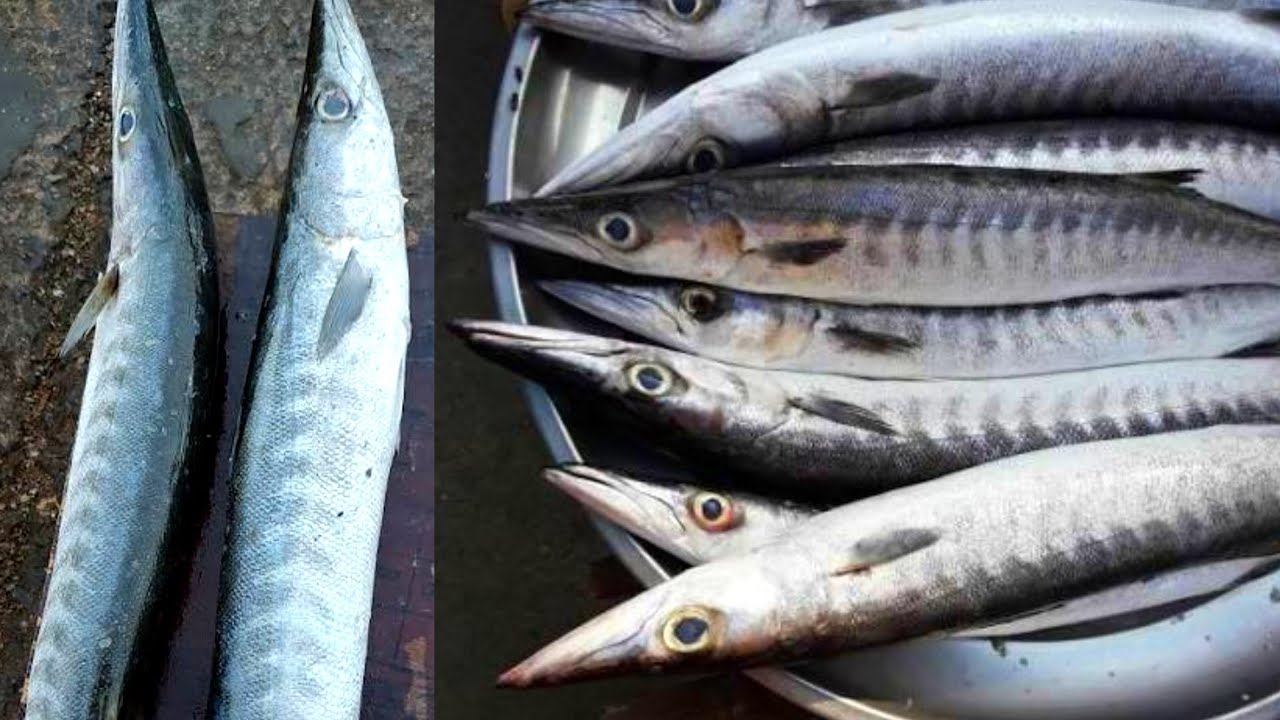 Sheela Fish Recipe | karai Fish Curry tari wali | Fish  Salan wali | Fish Curry Recipe Simple Indian