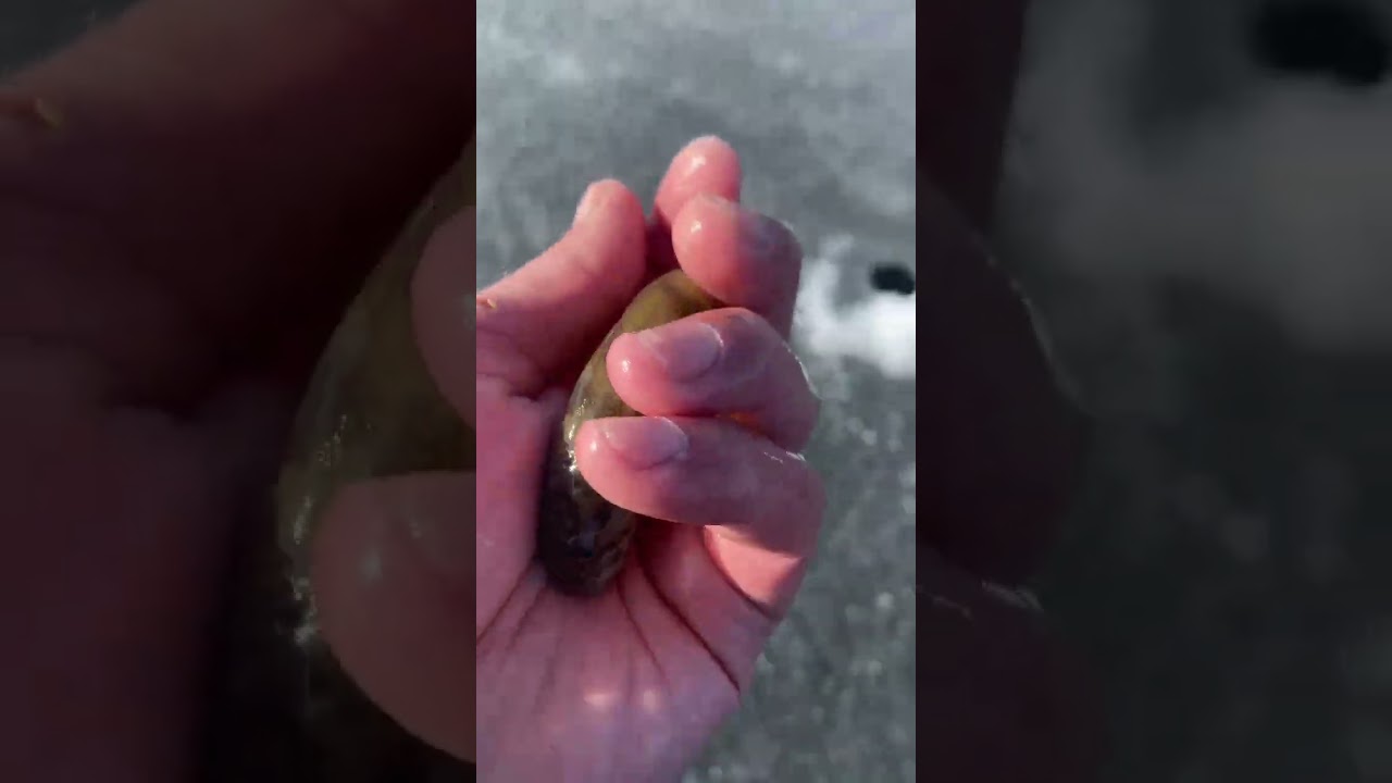 Закрытие сезона, последняя бельдюга 2024года