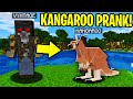 TROLLING AS A KANGAROO IN MINECRAFT!