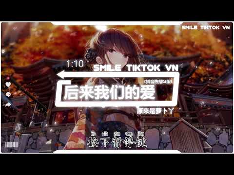 Video 原来是萝卜丫 - 后来我们的爱 (抖音热播DJ版) Tình Yêu Chúng Ta Sau Này... - youtube
