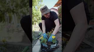 Can AI Help You in the Garden? screenshot 2