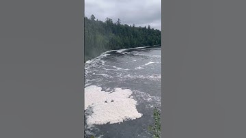 Halo Infinite Forge needs something like this..