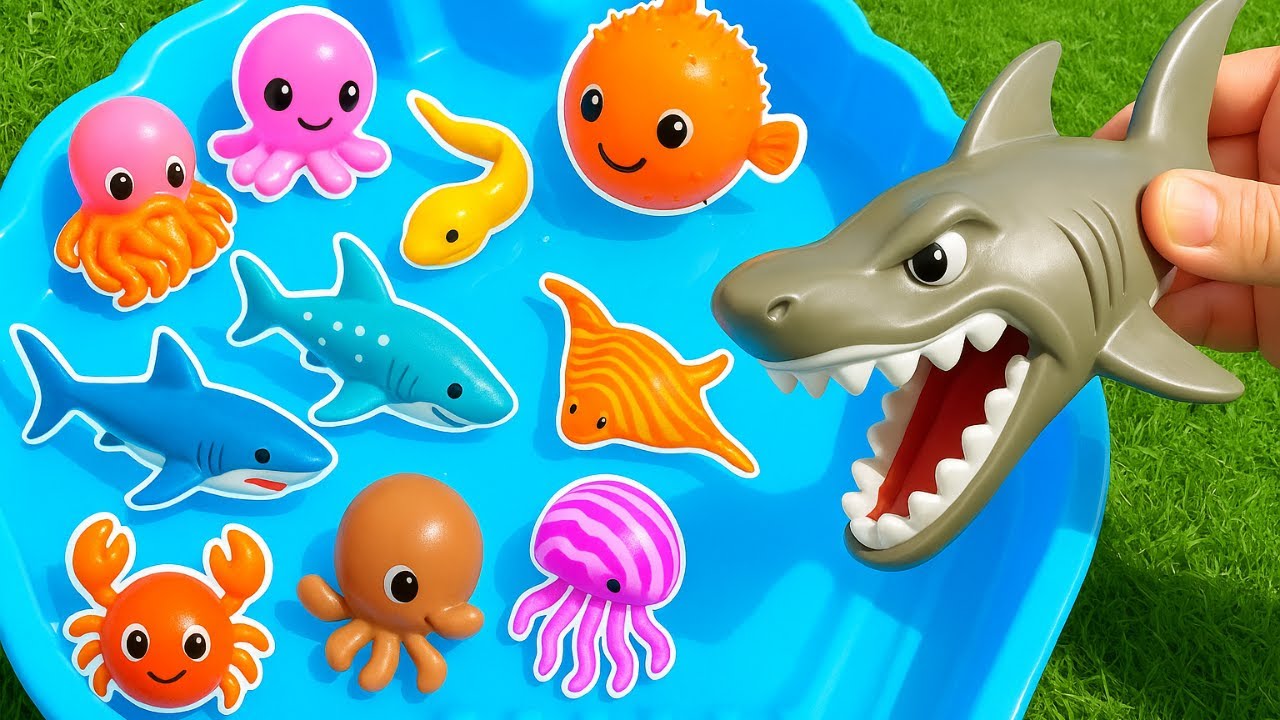 Kids Learn | Sea Animal Names & Facts for Babies Toddlers: Clownfish ...
