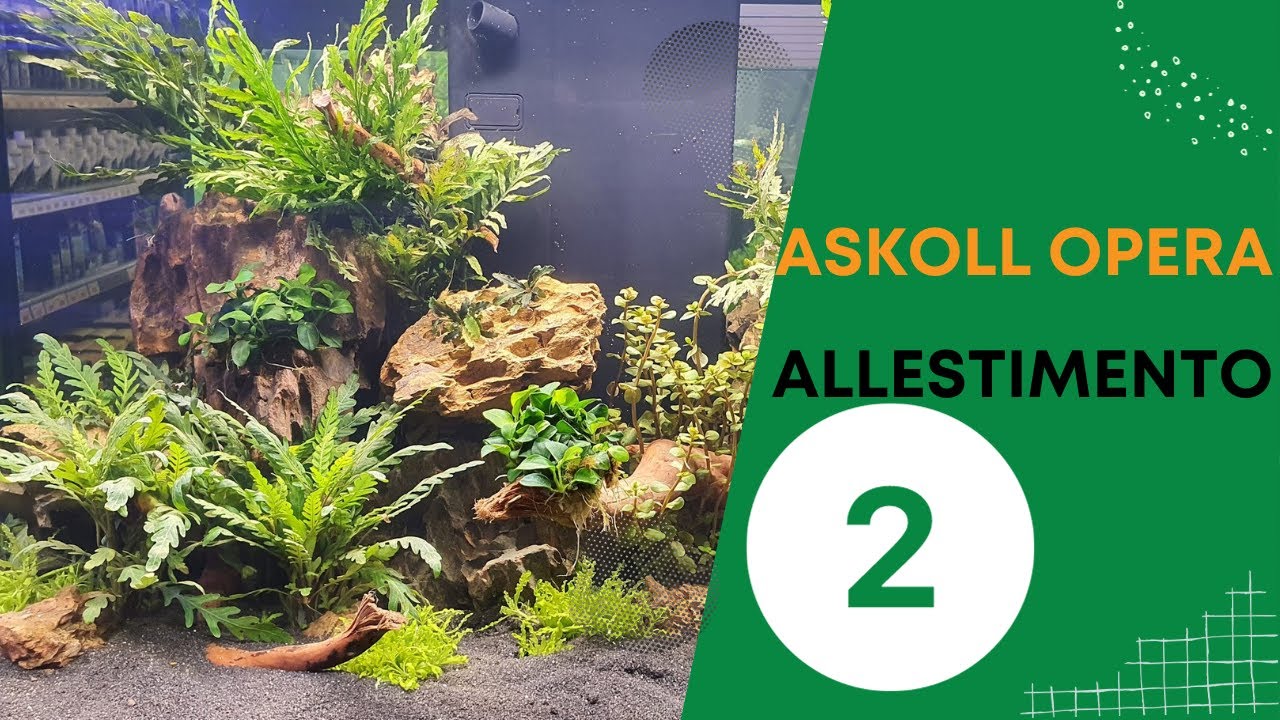 🐠 ALLESTIMENTO nuovo ASKOLL OPERA 150 STEEL