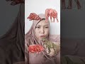 yang mana kah klitnya