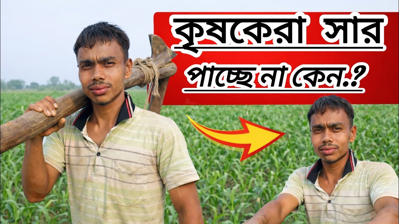 কৃষকের সার পাচ্ছে না কেন । এক বুক সমবেদনা নিয়ে এক কৃষকের মতামত 😭❤️