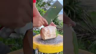 Welcome to China’s home of coconuts: Wenchang, Hainan.#chinatravel #china #beach