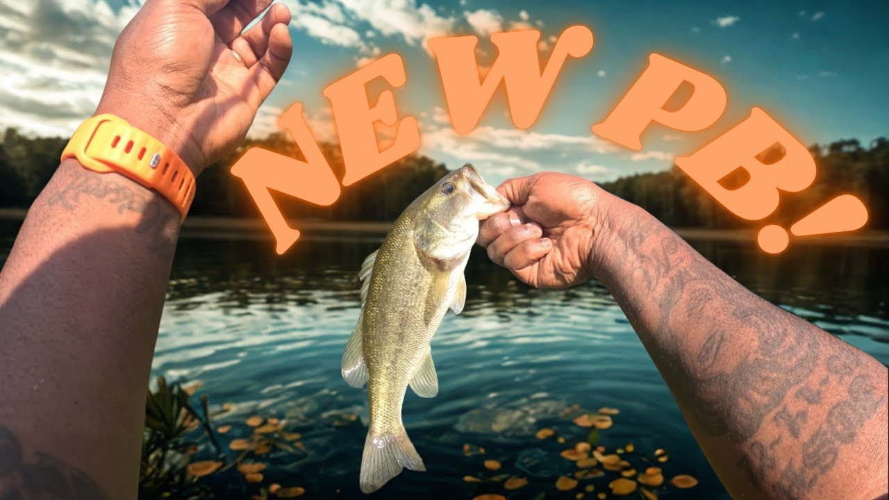 BIG BASS!!!