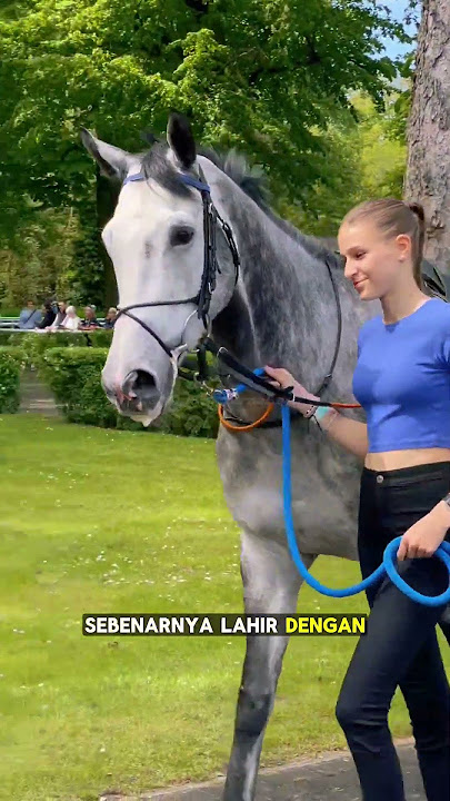 The Secret Behind the Rarely Known Color of White Horses!