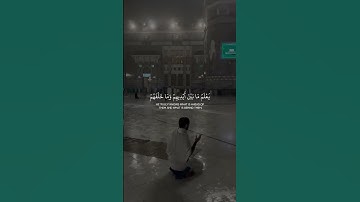 تلاوة جديدة للقارئ عبدالرحمن مسعد    آية الكرسي  سورة البقرة #قران كريم