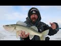 Red Lake Walleye Beatdown (EARLY ICE)