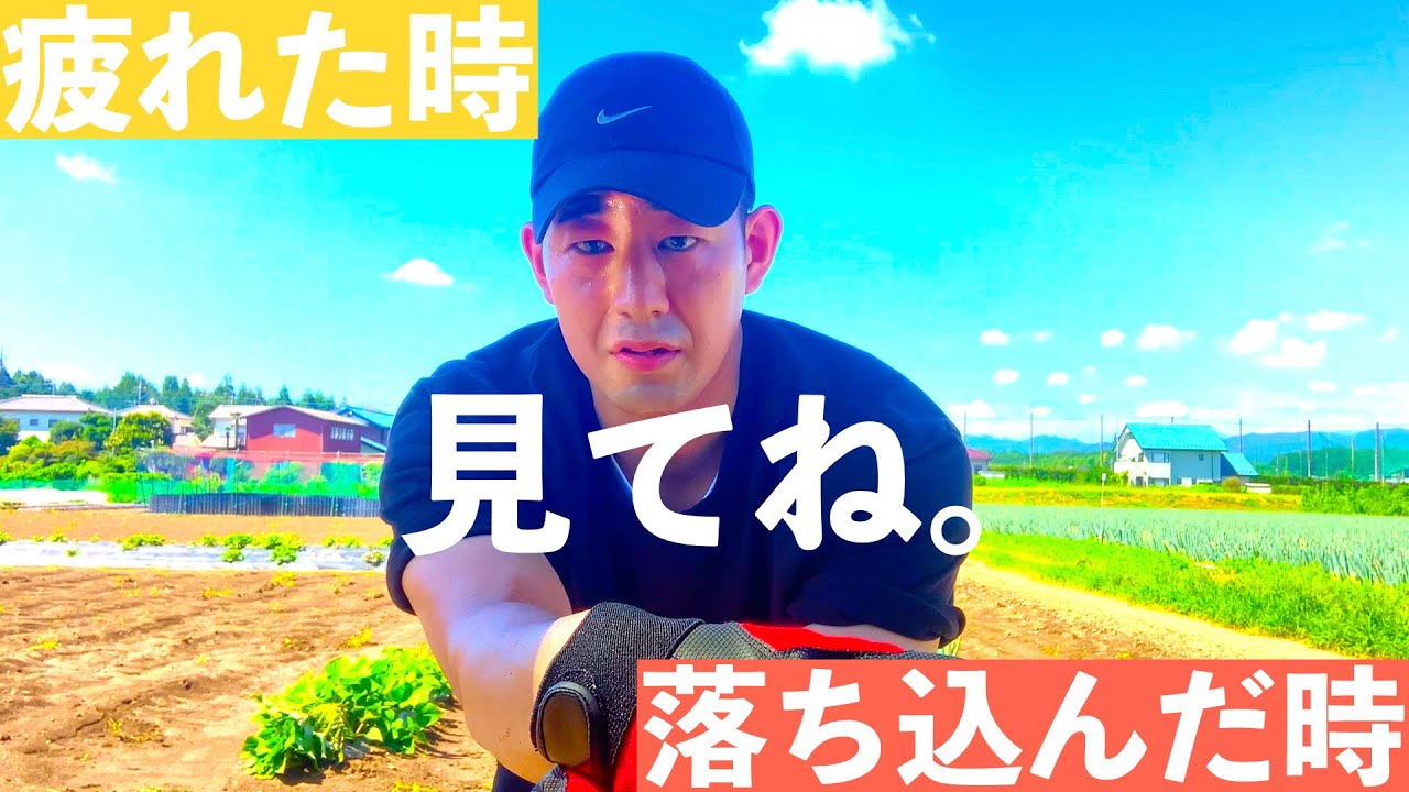 落ち込んだ時 疲れた時に見てね Youtube 落ち込んだ時 疲れた時に見てね Youtube