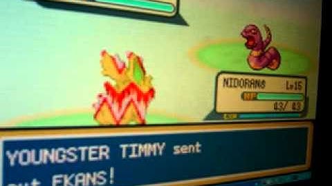 POKEMON FIRE RED WALKTHROUGH PART 6- NUGGET BRIDGE.AVI