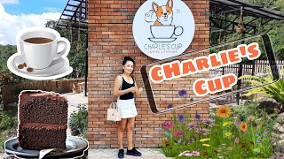 CHARLIE'S CUP BALAMBAN CEBU | A CAFE WITH AN AWESOME VIEW AUGUST 18 2021
