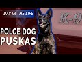 Santa Ana PD K9 Ride Along Santa Ana PD K9 Ride Along