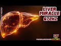 Liver Miracle Cleanse 672Hz – Regenerate Your Liver &amp; Release Deep Toxic Energy FAST!