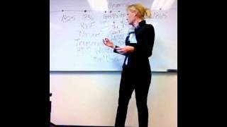 The American Renaissance What You Need To Know