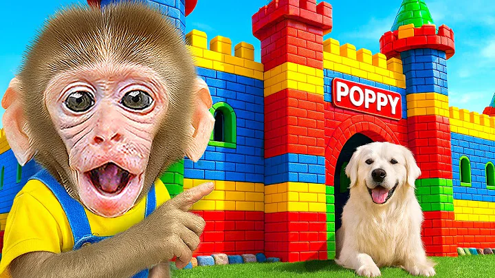 KIKI Monkey Bought LEGO BUILDS for a DOG & Build LEGO DOG HOUSE with His Friend | KUDO ANIMAL KIKI