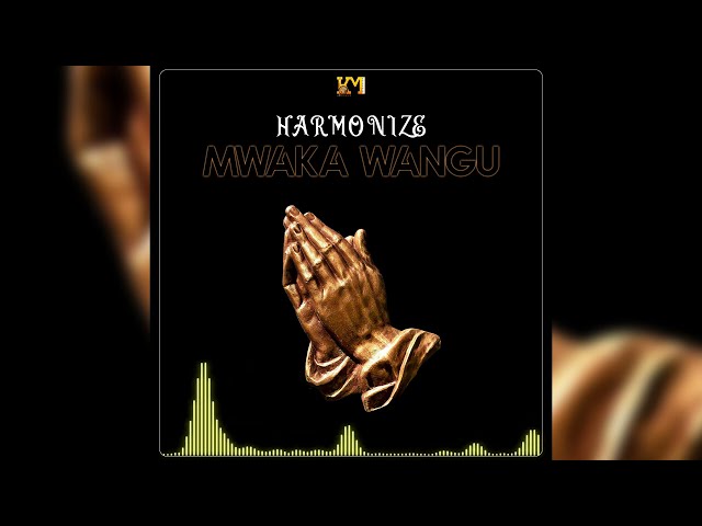 Harmonize - Mwaka Wangu (Official Audio)