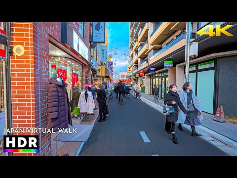 Suburban Tokyo Walk in Nishi-Koyama, Japan • 4K HDR