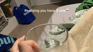 Only Cat Owners Will Understand