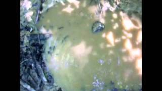 People Vs Nature Episode 3 Man Vs. Wild Parody Spoof