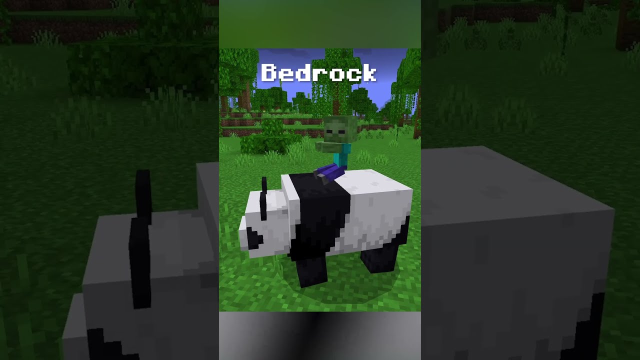 Java Vs Bedrock Part 1 Shorts