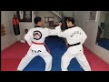 Materi Taekwondo