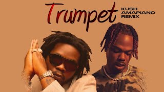 Olamide,Ckay - Trumpet (KU3H Amapiano Remix) OFFICIAL VIDEO